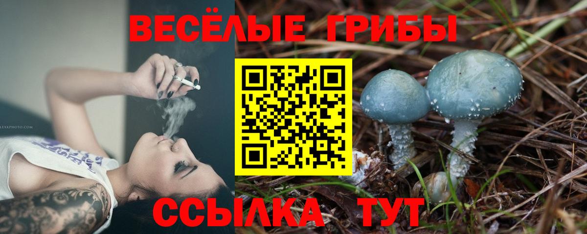 Галлюциногенные грибы Cubensis  Вход с VPN  Сухой Лог 